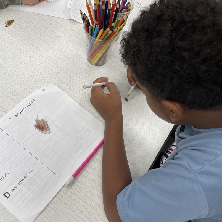 science observations