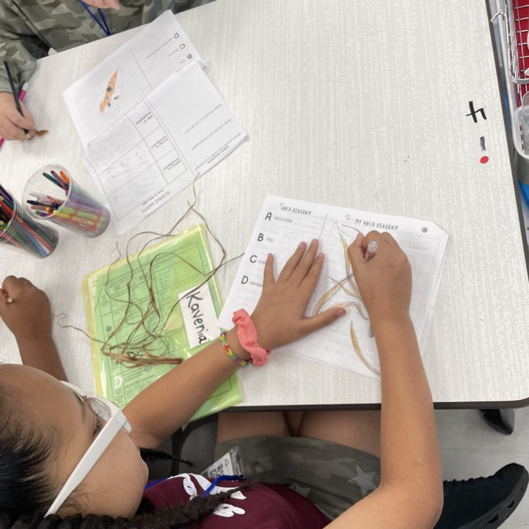 science observations