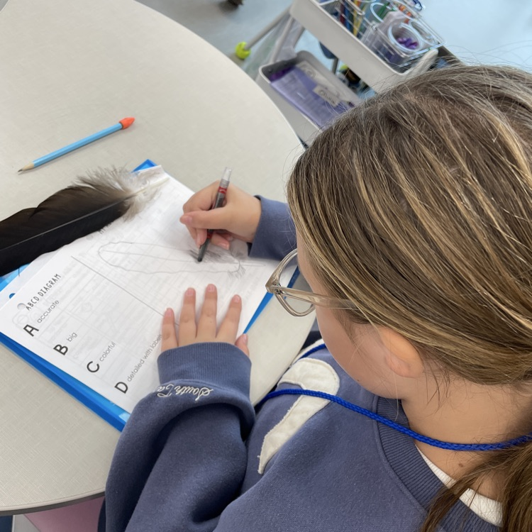 science observations