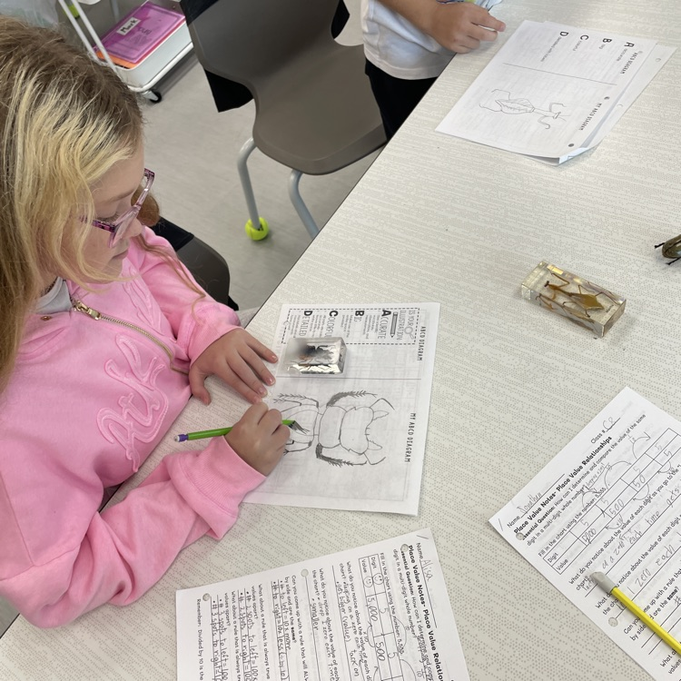 science observations