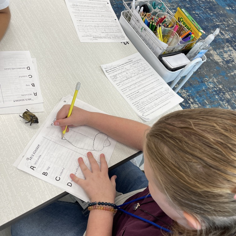 science observations