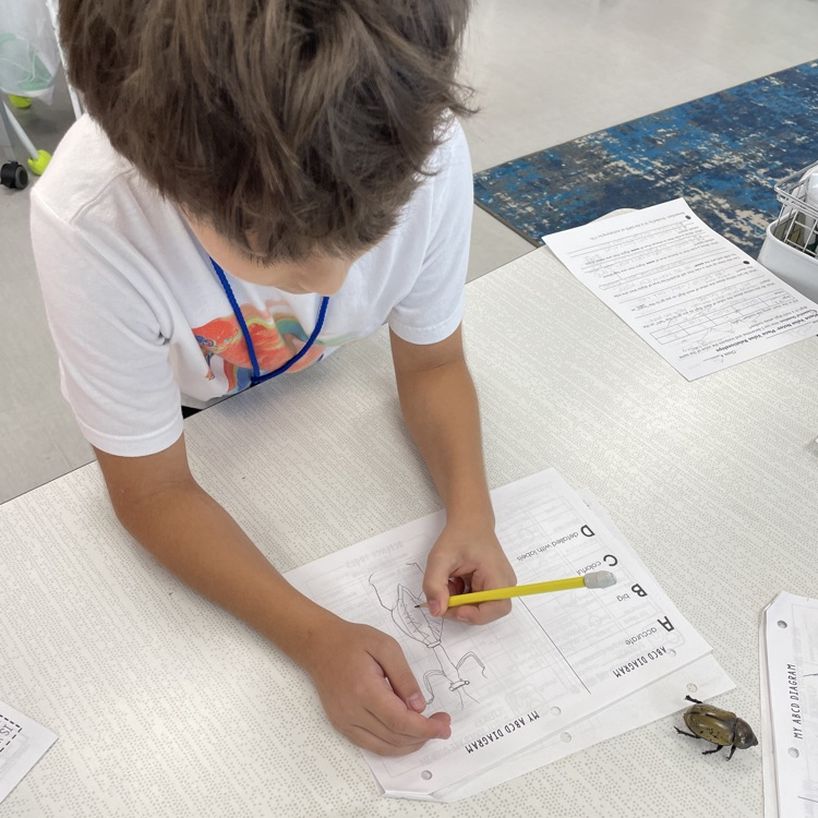science observations
