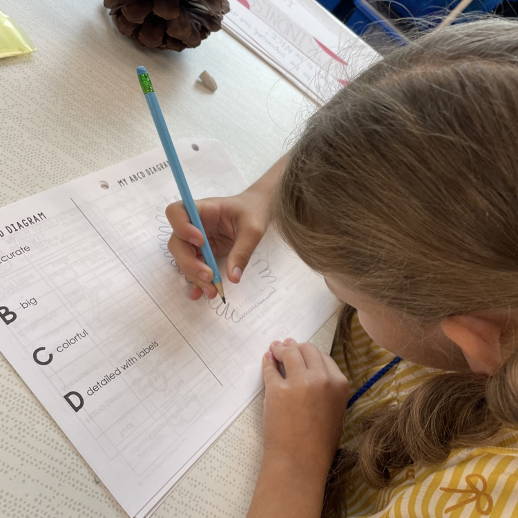 science observations