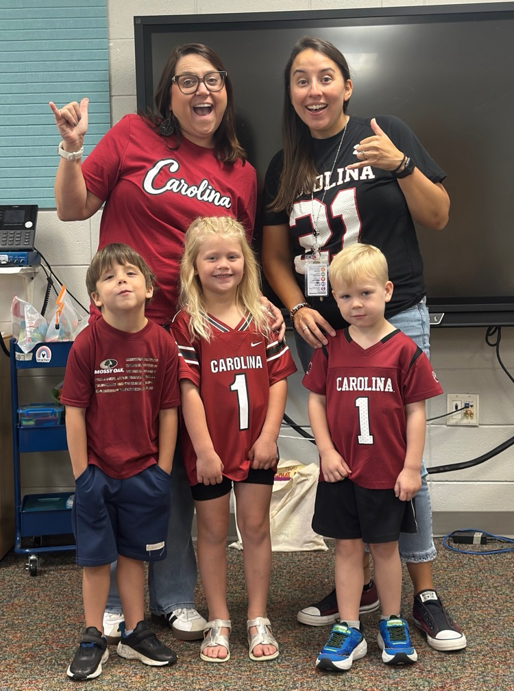 college colors day