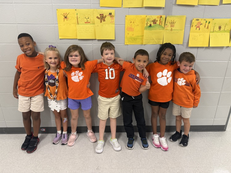 college colors day