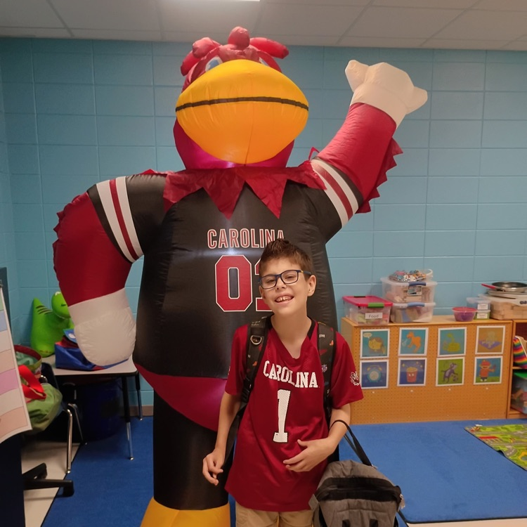 pictures of college colors day