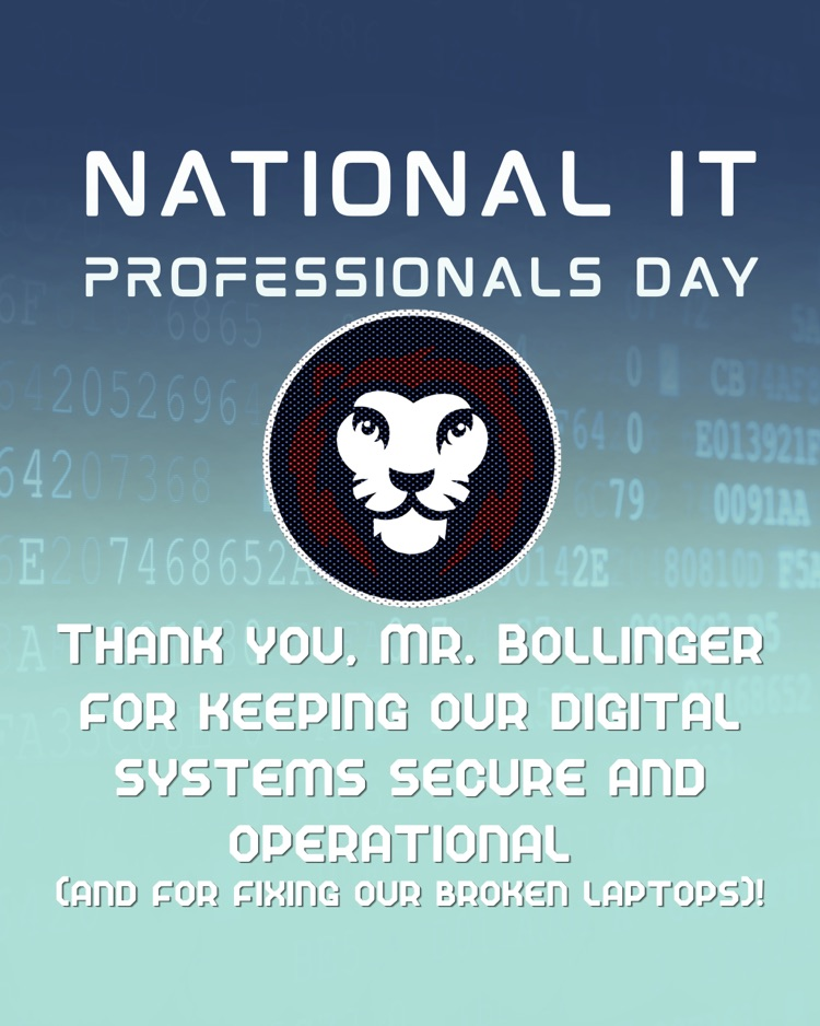 National IT professionals day