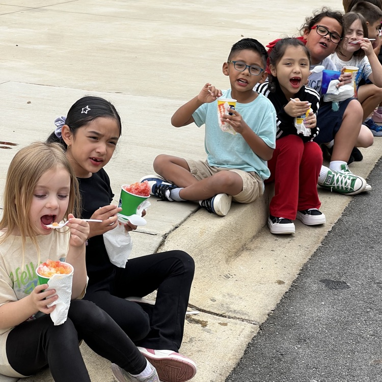 Kona ice