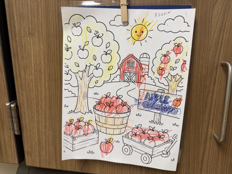 Picture of apples