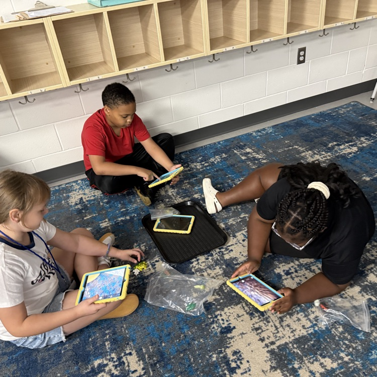 exploring scientific tools