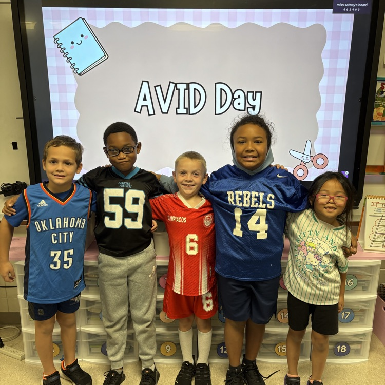 picture of avid day