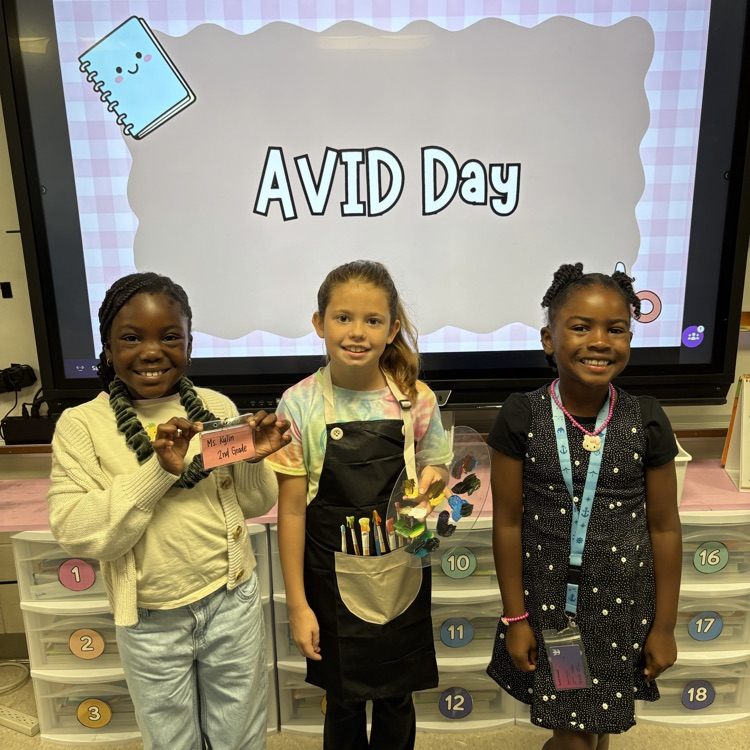 picture of avid day