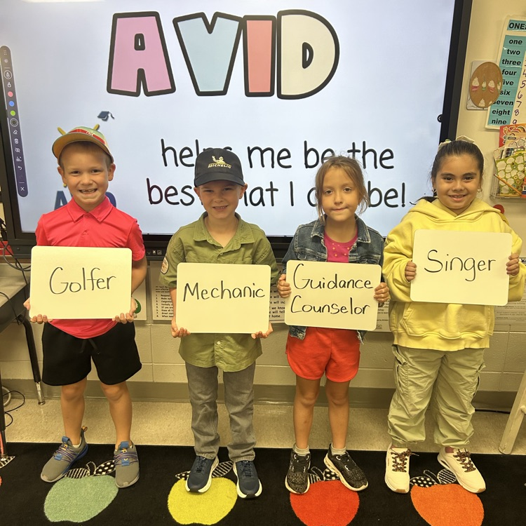 picture of avid day
