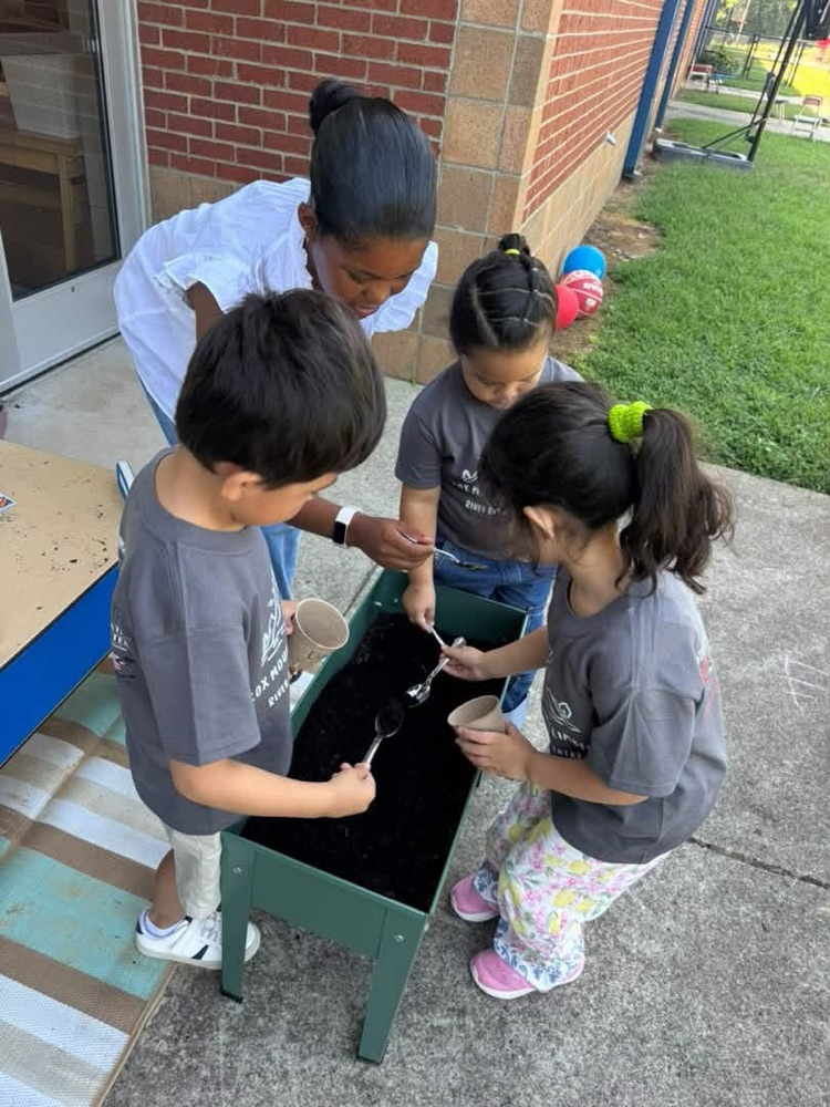 K4 students learning about seeds and plants