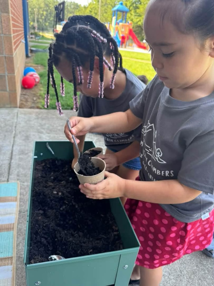 K4 students learning about seeds and plants