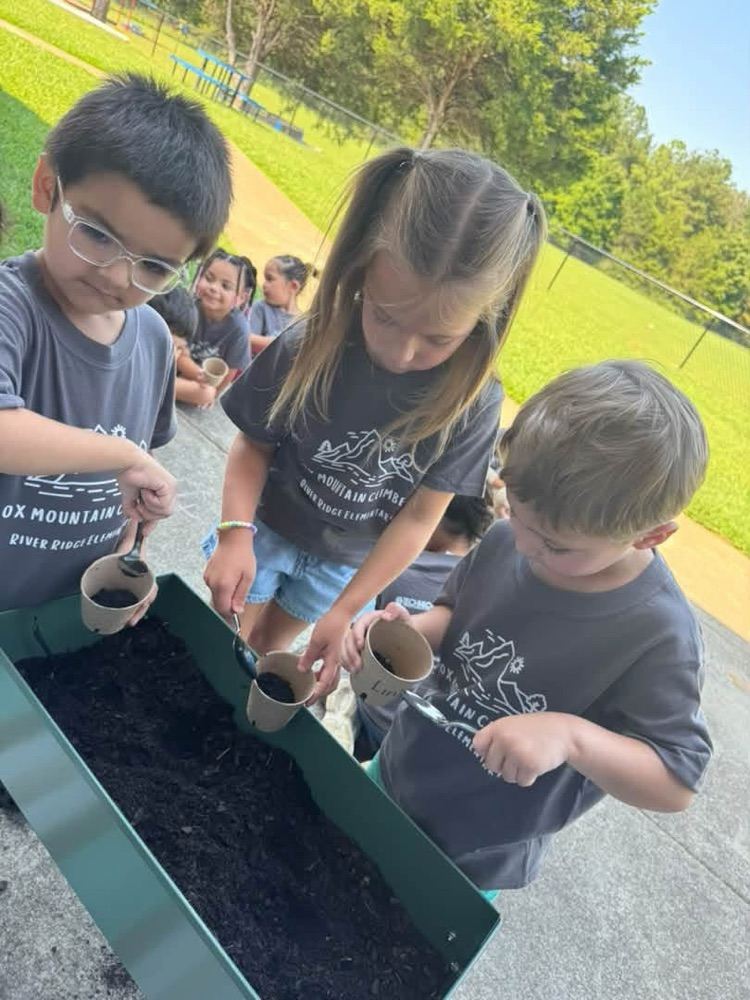 K4 students learning about seeds and plants