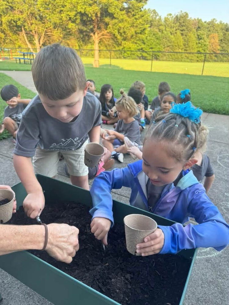 K4 students learning about seeds and plants