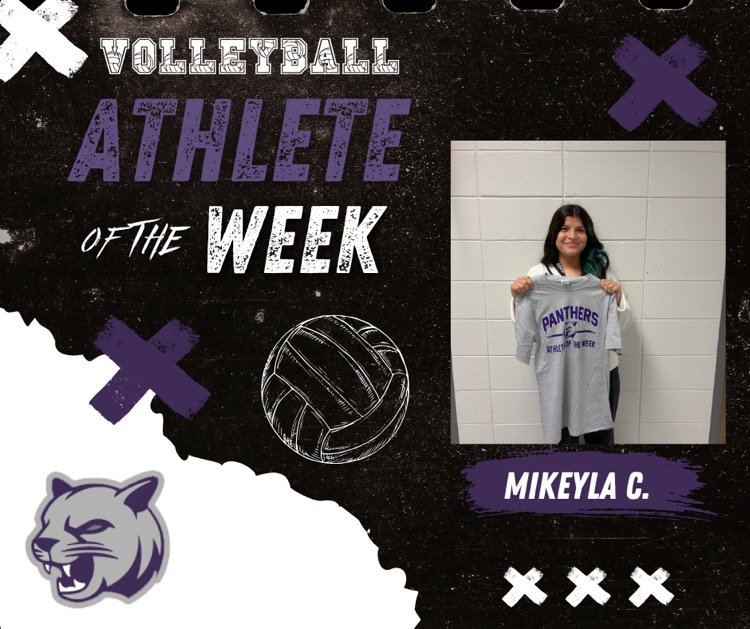 volleyball student