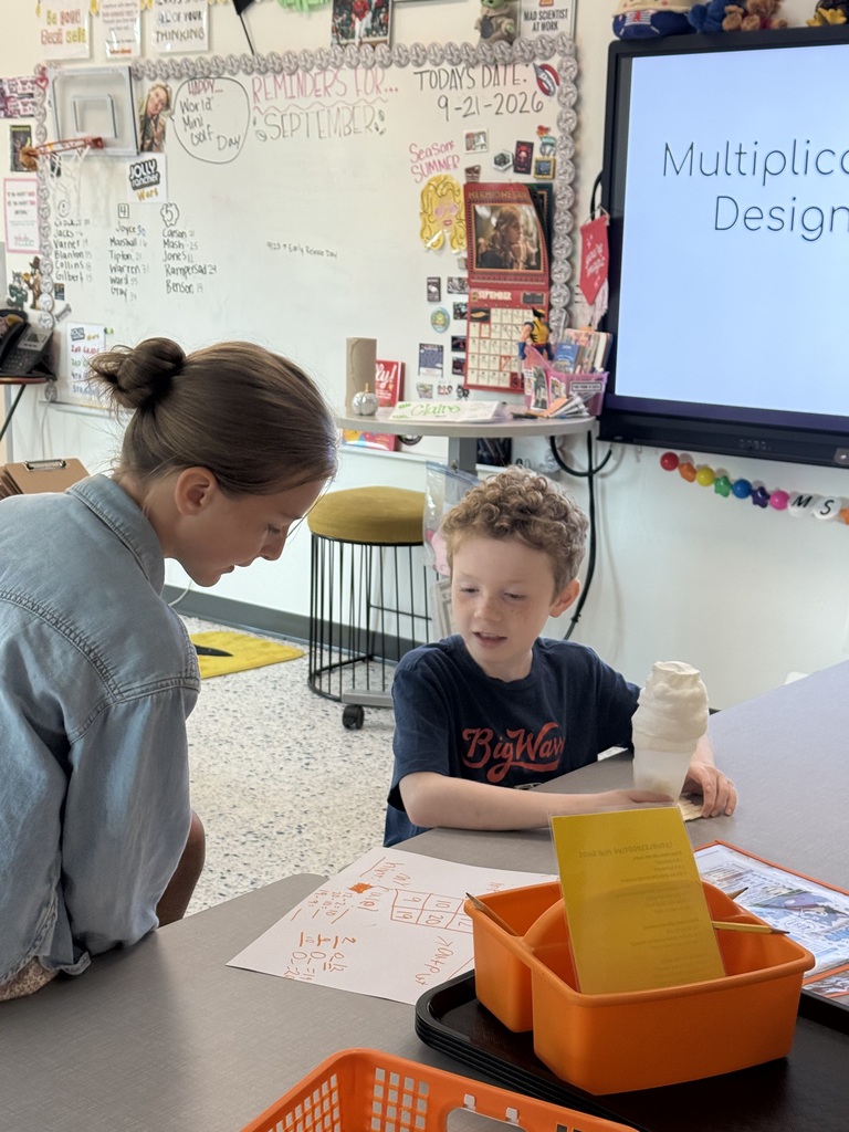 3rd grade gt project