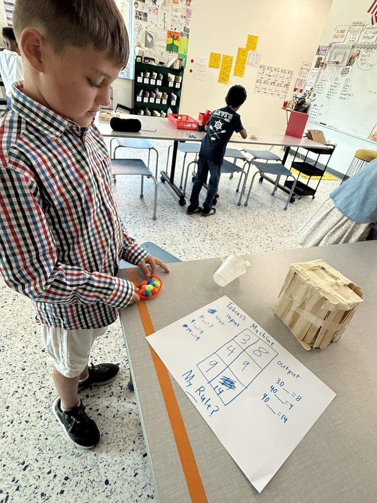 3rd grade gt project