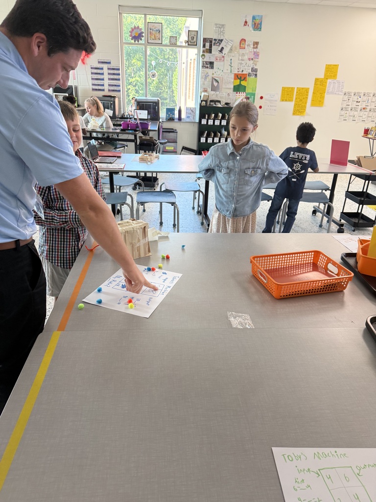 3rd grade gt project