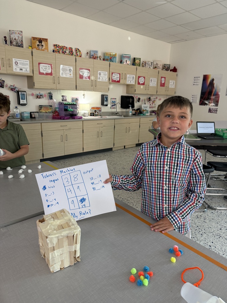 3rd grade gt project