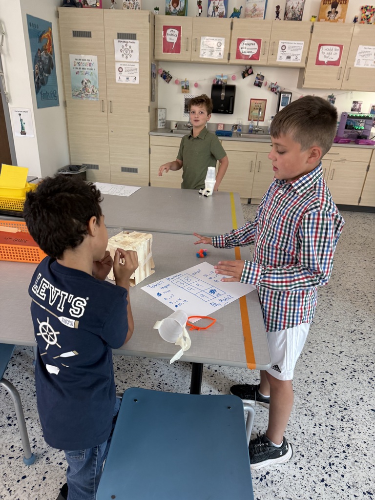 3rd grade gt project