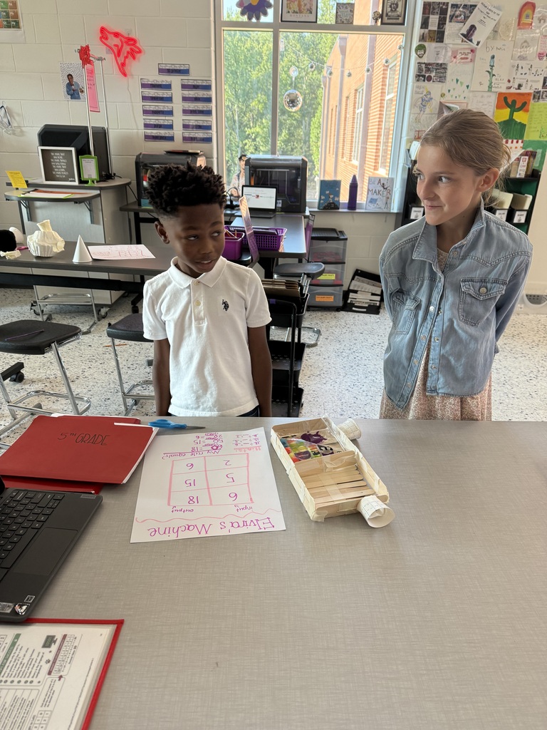 3rd grade gt project