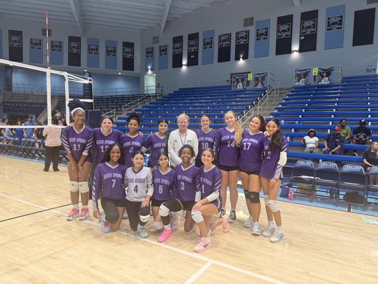 volleyball team