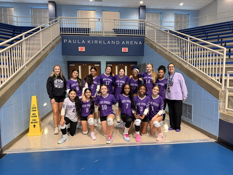 volleyball team