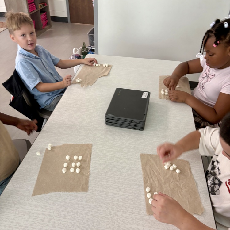 marshmallow math