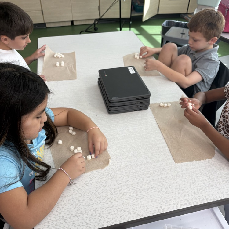 marshmallow math