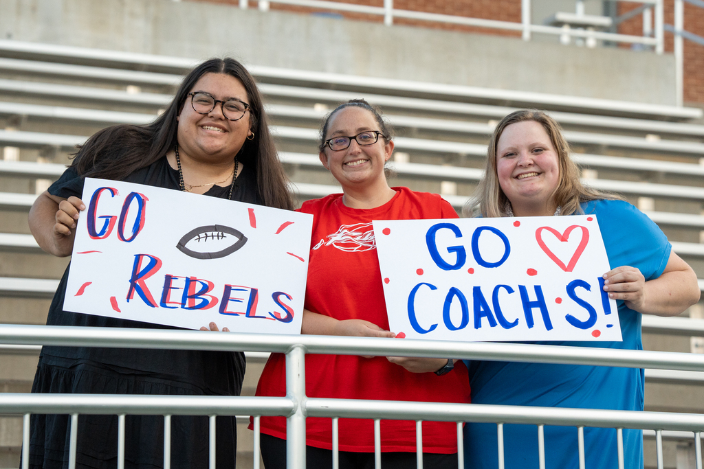 fans in the stadium