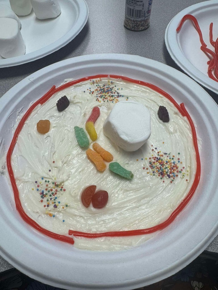 kids learning about science