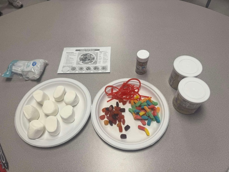 kids learning about science