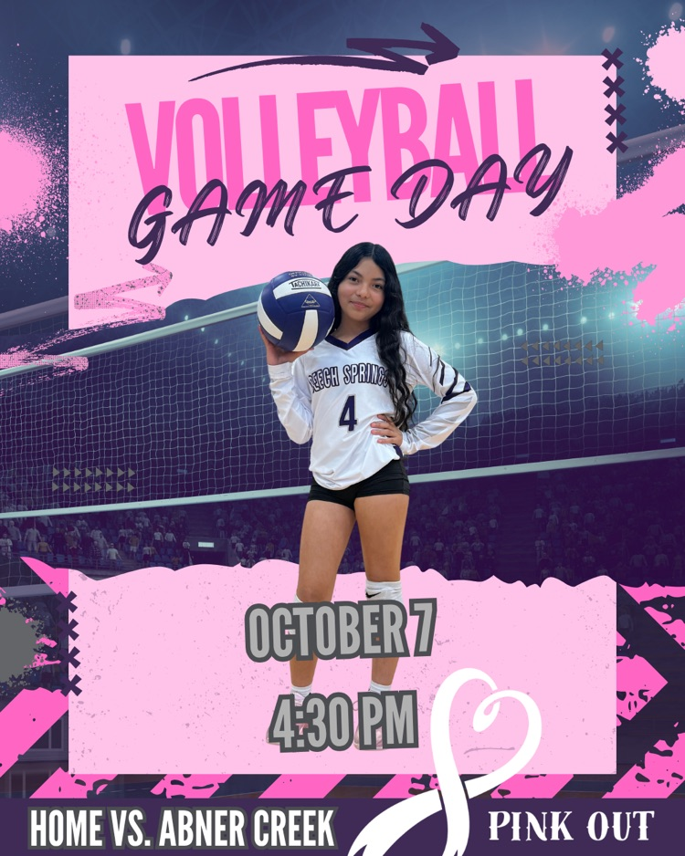 vollleyball game information 