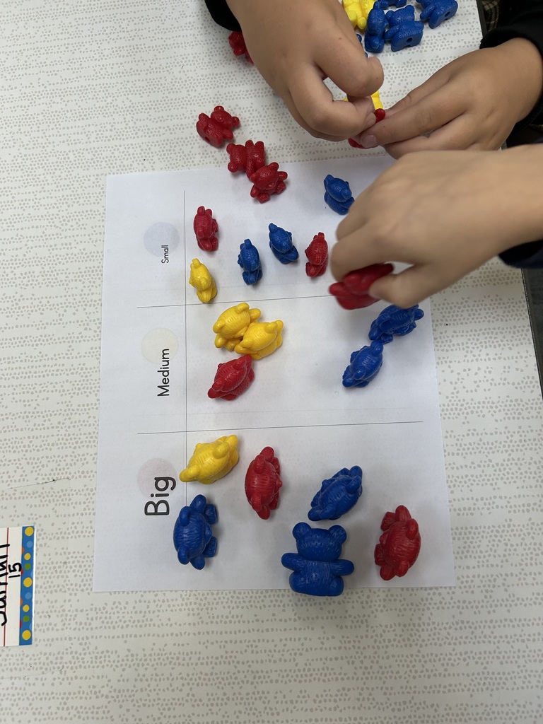 This image shows students sorting and counting bears based on size and color.