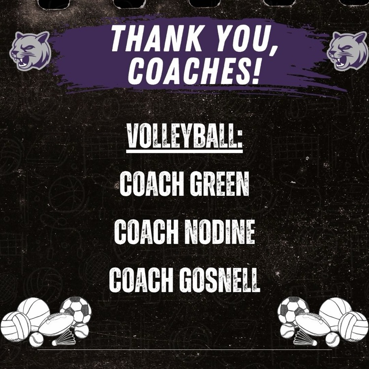volleyball coaches names