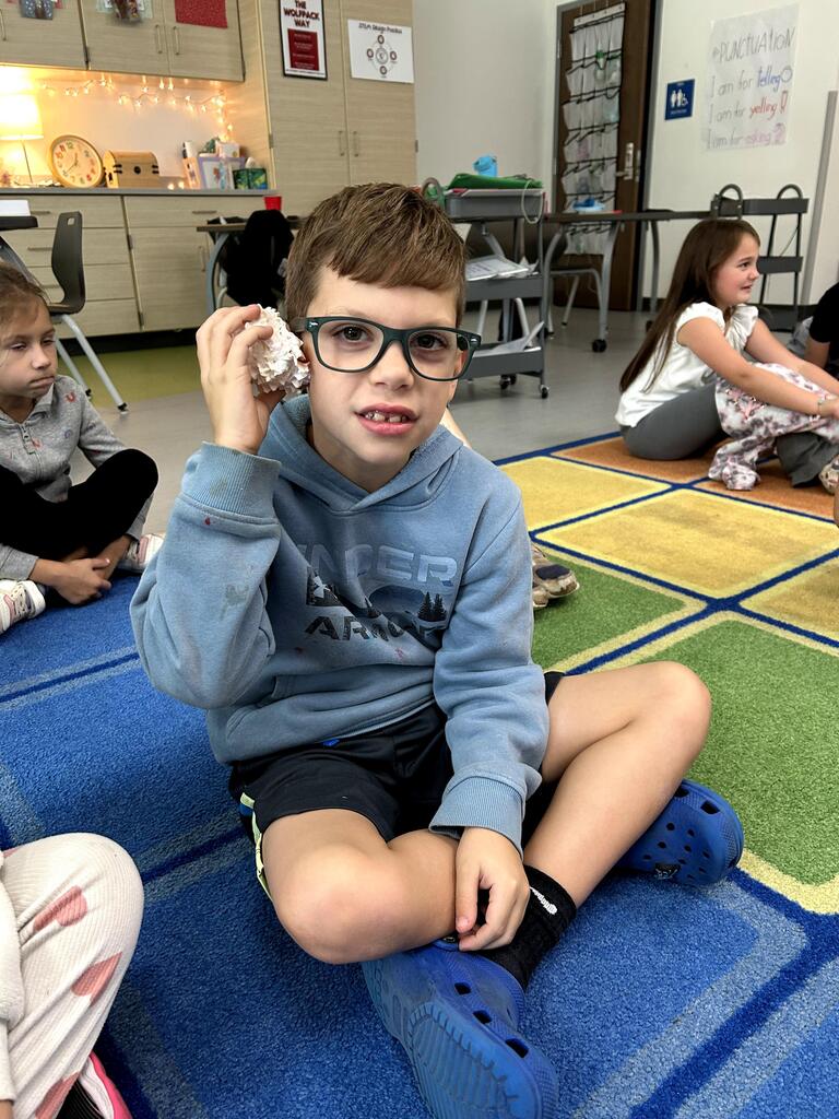 1st grade watershed- sounds