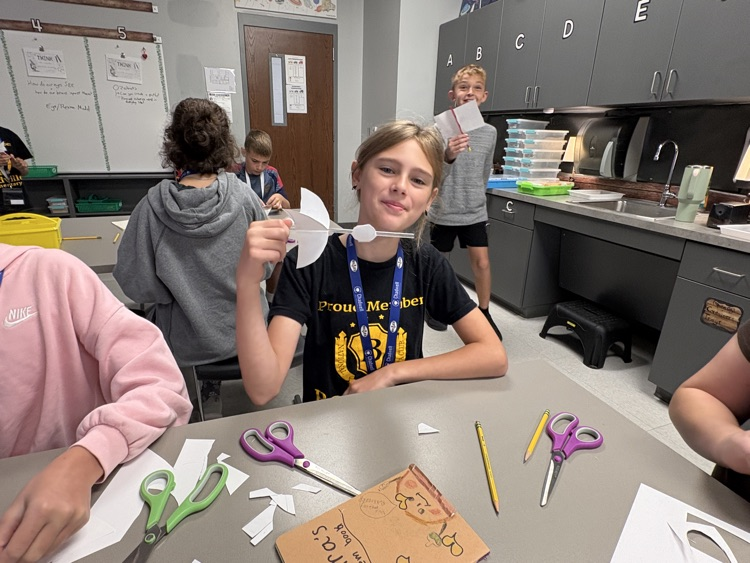 stem project