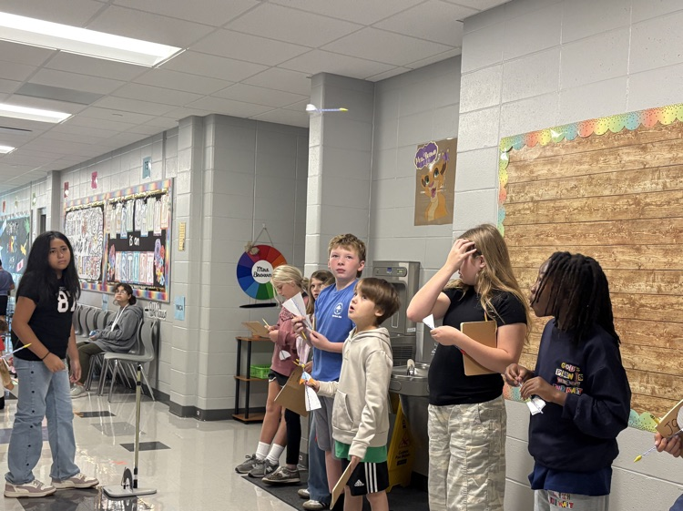 stem project