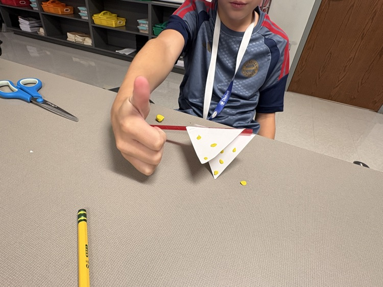 stem project