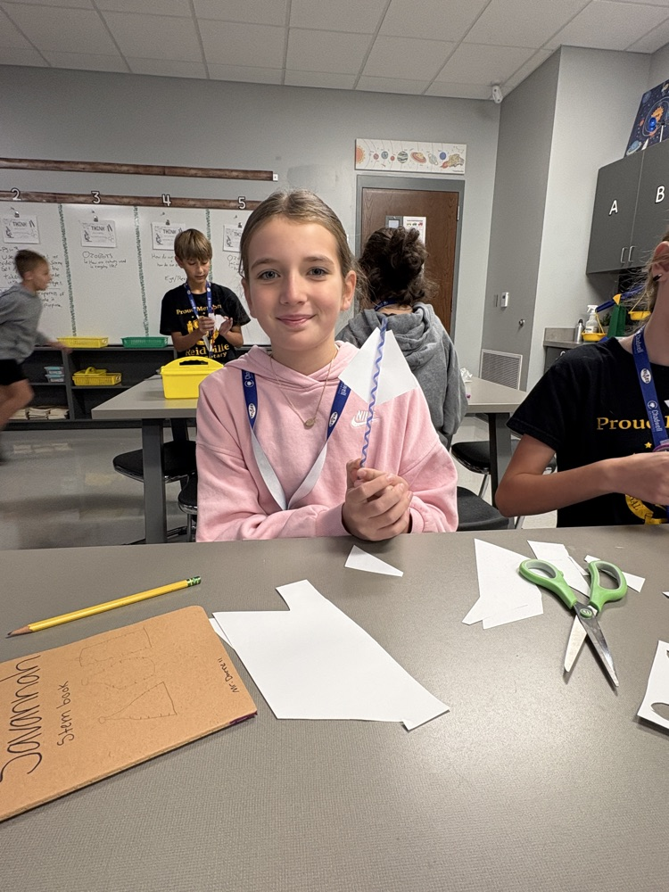 stem project