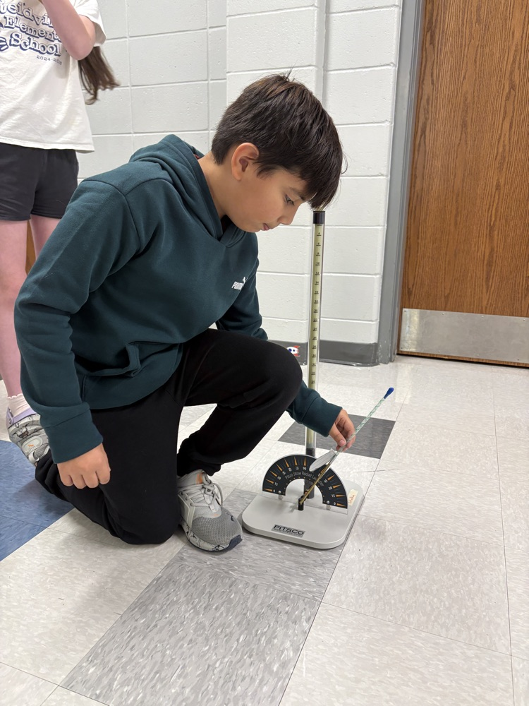 stem project