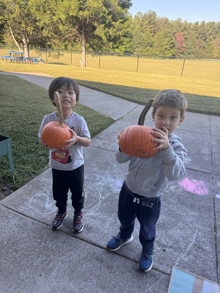 students learning about the lifecycle of pumpkins and apples