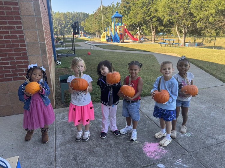 students learning about the lifecycle of pumpkins and apples