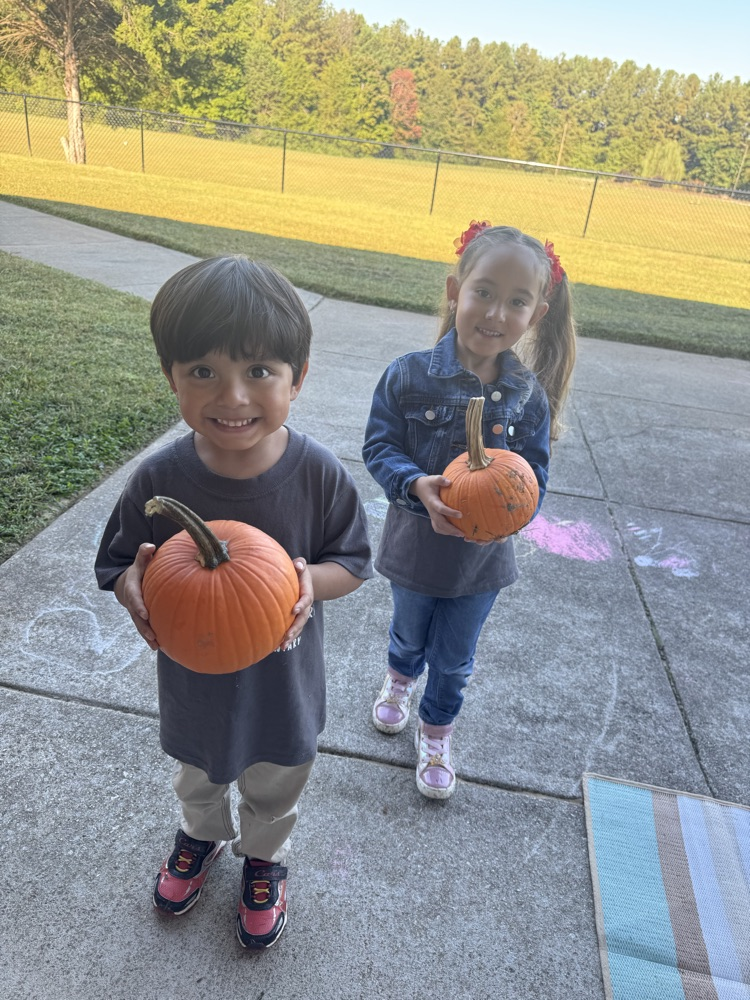 students learning about the lifecycle of pumpkins and apples