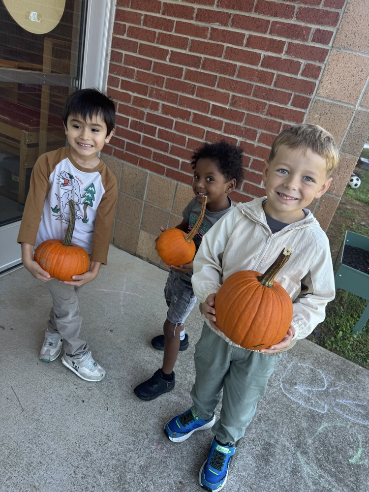 students learning about the lifecycle of pumpkins and apples