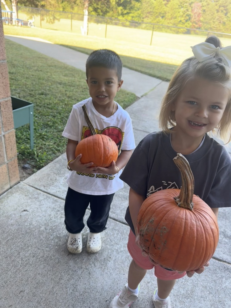 students learning about the lifecycle of pumpkins and apples
