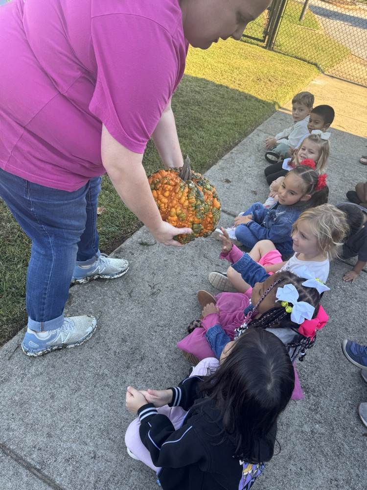 students learning about the lifecycle of pumpkins and apples